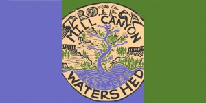 Mill Canyon Watershed